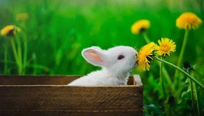 官网直播指南-大汗淋漓！骑士队莫布里在田径场训练 主要有阻力跑&amp;amp;带球跑等内容